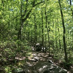 Trail (rocky) Trail (rocky)