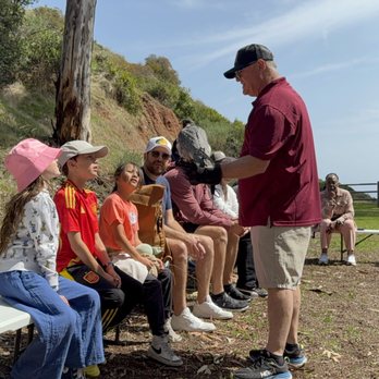 Catalina Falconry Experience - Active Life Near Me - Avalon, California Catalina Falconry Experience - Active Life Near Me - Avalon, California