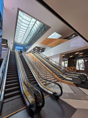 Central Fare by null