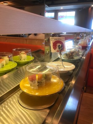 Mikami Bar & Revolving Sushi, Convoy San Diego by null