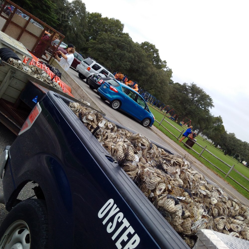 Ernie Morgan Center - social services organization in Norfolk, VA