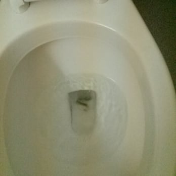 Motel 6 - Toilet stains - Hotels Near Me - Spokane, Washington Motel 6 - Toilet stains - Hotels Near Me - Spokane, Washington