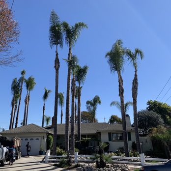 Martinez Tree Service - Tree Services Near Me Martinez Tree Service - Tree Services Near Me