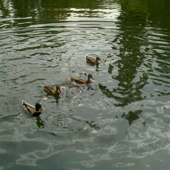Mt Whitney Fish Hatchery - Tours Near Me - Independence, California