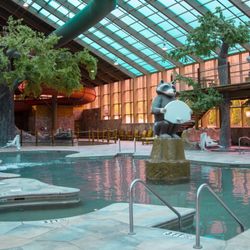 Wild Bear Falls Indoor Water Park