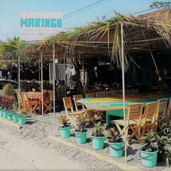 Maringo