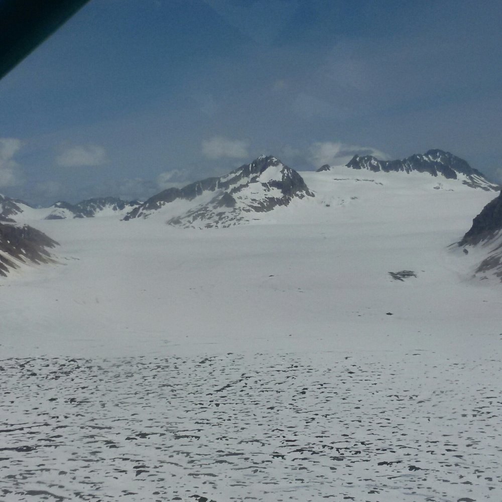 Wings Aero Tours - Glacier - Tours Near Me