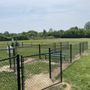 Photo of Shepherdsville Dog Park
