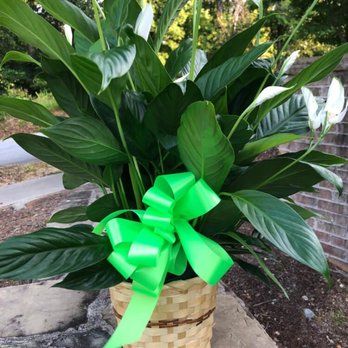 Florist One - Florists Near Me