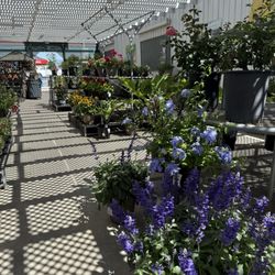 Foothill Builders Mart