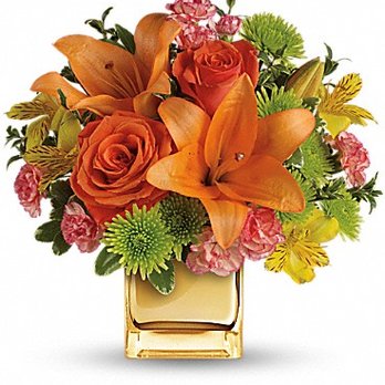 Flower & Gift Gallery - Florists Near Me - West Point, Nebraska Flower & Gift Gallery - Florists Near Me - West Point, Nebraska