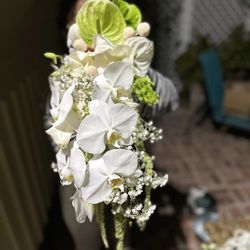 Wholesale Flower Place - orchids. dendrobiums.  Anthuriums. Babies breath.Grn & wht amaranth and dried florals are from a different vendor
