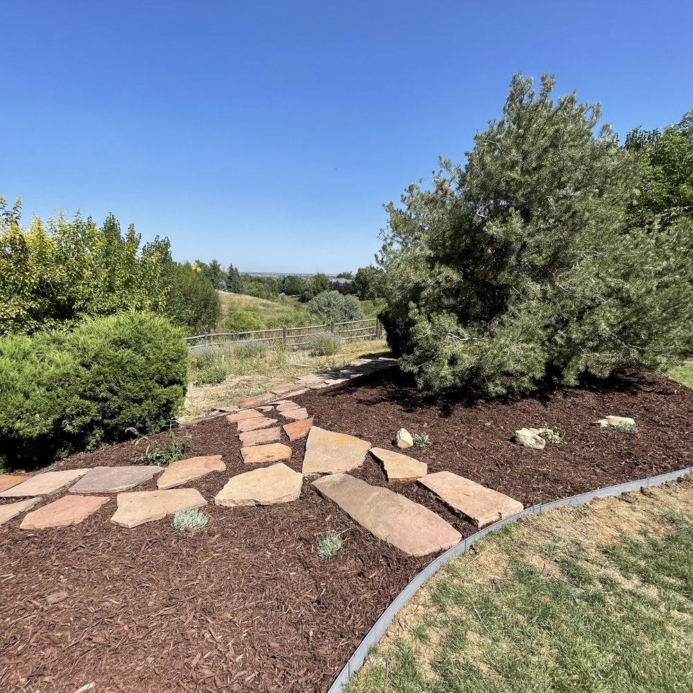 CLC Landscape & Irrigation - After (close up, no weeds and new mulch/plants!) - Landscaping Near Me - Windsor, Colorado CLC Landscape & Irrigation - After (close up, no weeds and new mulch/plants!) - Landscaping Near Me - Windsor, Colorado