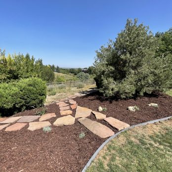 CLC Landscape & Irrigation - After (close up, no weeds and new mulch/plants!) - Landscaping Near Me - Windsor, Colorado