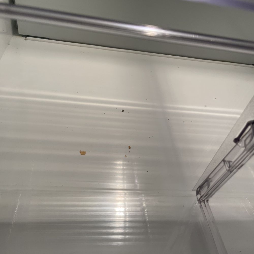 AB Cleaning Services - Dirty refrigerator AFTER AB cleaning services finish my deep cleaning appointment - Home Cleaning Near Me - Aliso Viejo, California AB Cleaning Services - Dirty refrigerator AFTER AB cleaning services finish my deep cleaning appointment - Home Cleaning Near Me - Aliso Viejo, California