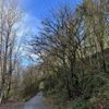 Interurban Trail gift card