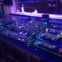 Photo of Aquatic Dreams