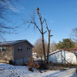 Kips Tree Care - We handle all aspects of tree care.Free estimates 5733384363