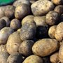 Photo of Vaupel Kartoffelprodukte