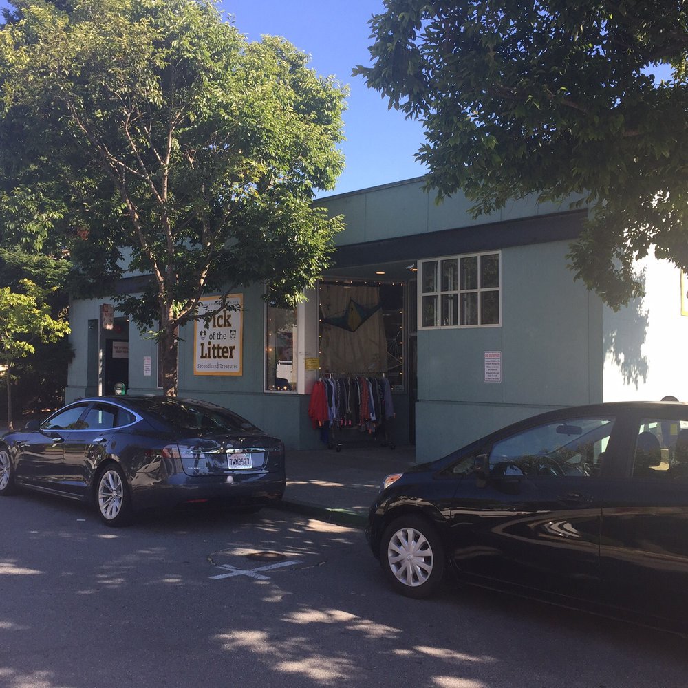 Treasure Paws - Thrift Stores Near Me - Burlingame, California Treasure Paws - Thrift Stores Near Me - Burlingame, California