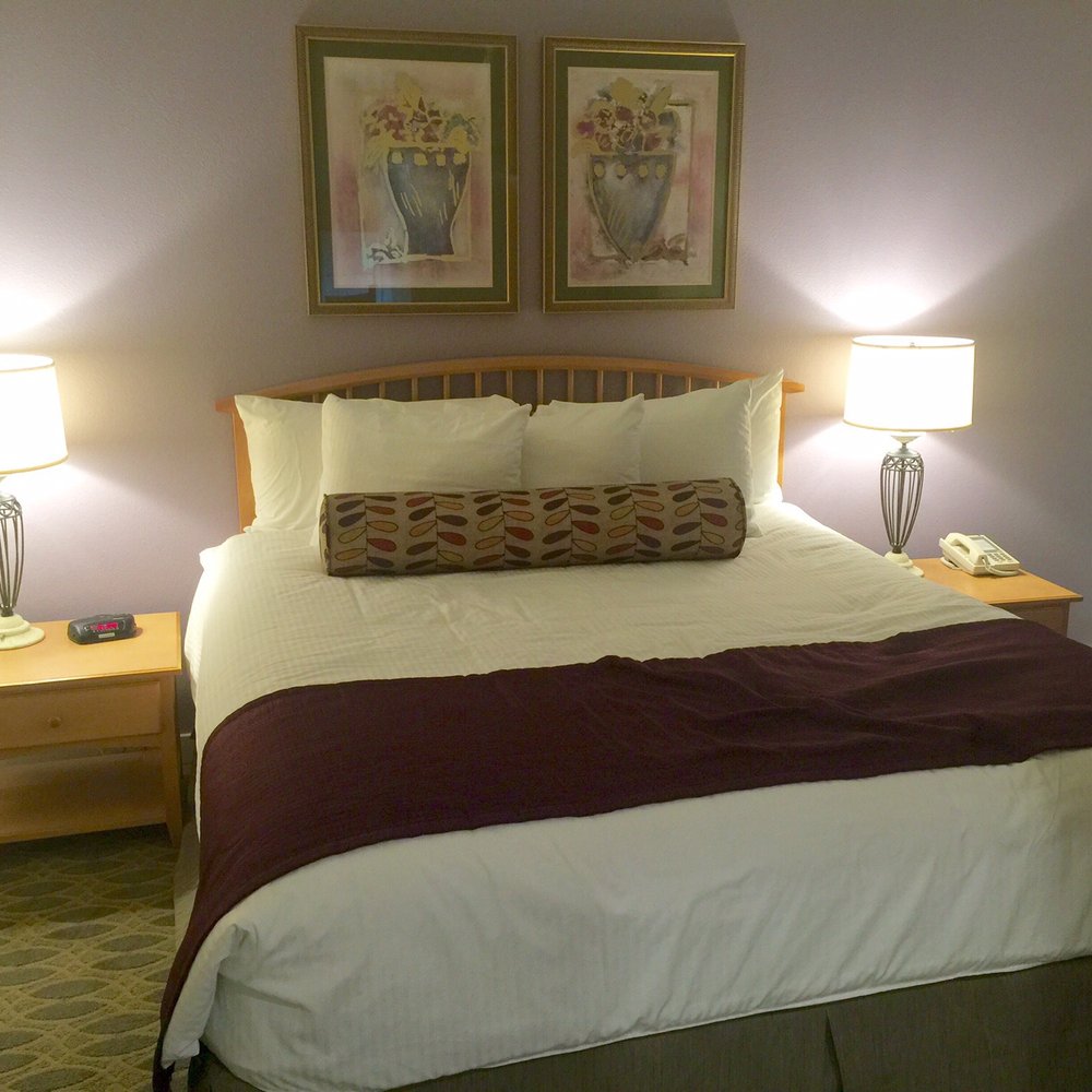 bedroom bedroom