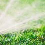 Photo of Maximum Irrigation