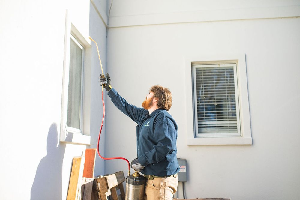 Talent Pest Control - veterans service organization in Virginia Beach, VA