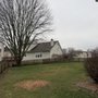 Ascend Tree Services
