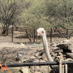 Parque Zoológico de León