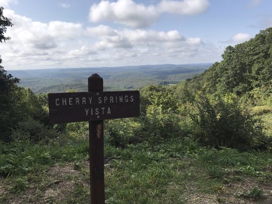 Cherry Springs State Park by null