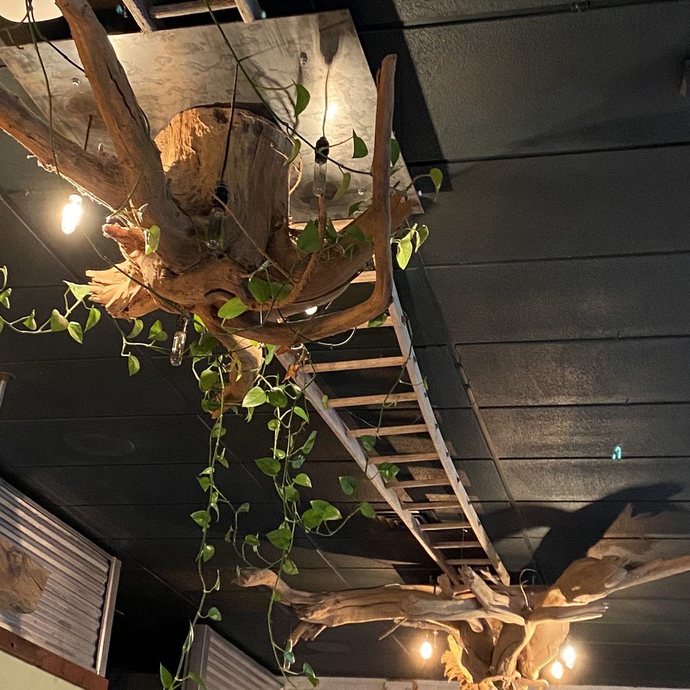 Taproot Cider House - Great decor - Bars Near Me - Traverse City, Michigan Taproot Cider House - Great decor - Bars Near Me - Traverse City, Michigan