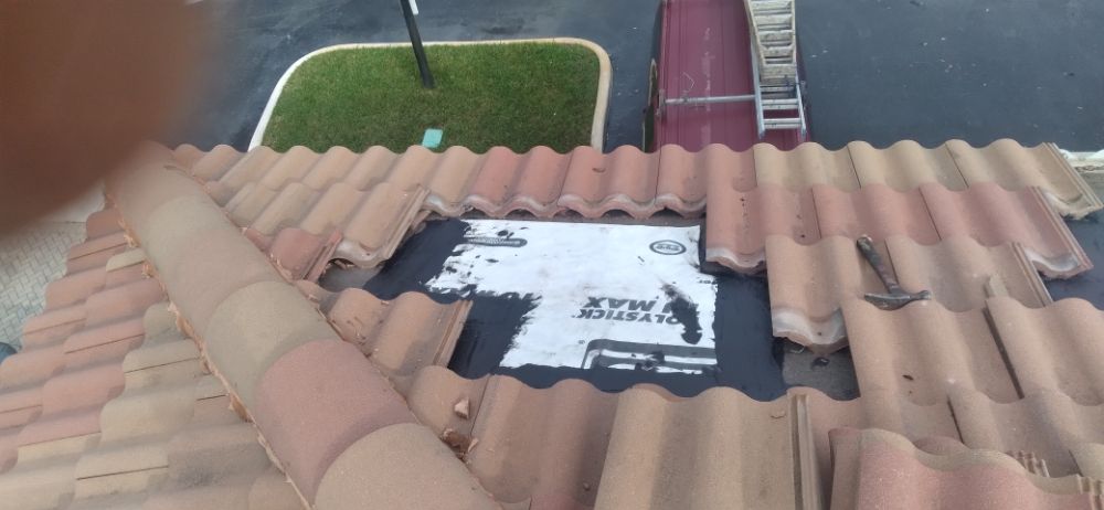 Slide of Bert the roofer