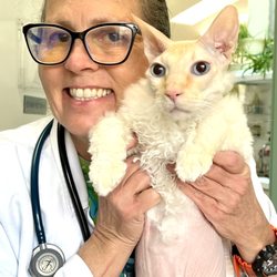 Mountain Aire Veterinary Hospital - Even after 34 years in practice, Dr. Cosko gets excited at meeting new patients every day!