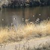 South Platte River Trail gift card
