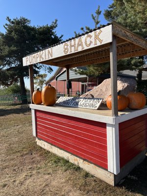 Spicer Orchards Farm Market, Cider Mill, Fudge, Bakery by null