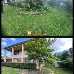 Red Bull Lawn Care & Maintenance - Make your lawn look good again!