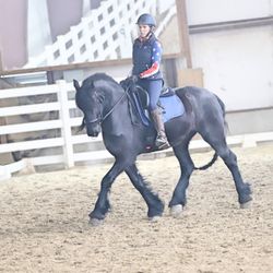Sage Creek Equestrian - Trainer Dana Denison rides her friesian.