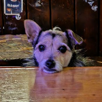 Blue Moon Tavern - Dive Bars Near Me - Seattle, Washington