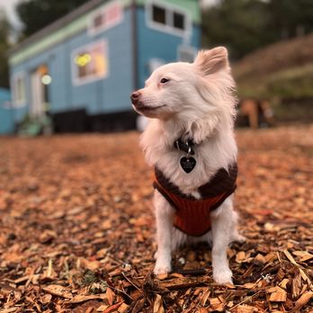 Pacifica Tiny Homes - Mobile Home Dealers Near Me - Corcoran, California Pacifica Tiny Homes - Mobile Home Dealers Near Me - Corcoran, California