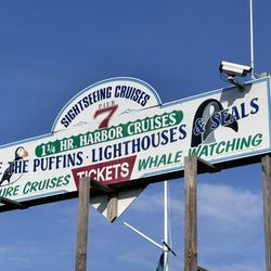 Cap'n Fish's Cruises
