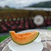 メロン さん専用ページ 小林種苗 メロン種子 おてがるサンセット＊種子有効期限2026年9月末