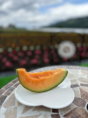 山崎メロン園 - Updated September 2025 - 13 Photos - 字山部