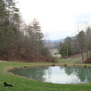 Kero Mountain Resort - Dog heaven - Hotels Near Me - Sevierville, Tennessee Kero Mountain Resort - Dog heaven - Hotels Near Me - Sevierville, Tennessee