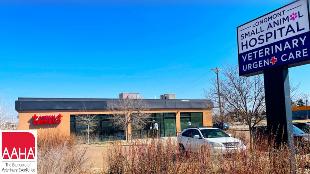 LONGMONT SMALL ANIMAL HOSPITAL Updated August 2024 24 Reviews 104