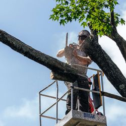 New Leaf Tree Services