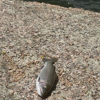 Curt Gowdy State Park - Stocked trout. - Parks Near Me - Cheyenne, Wyoming