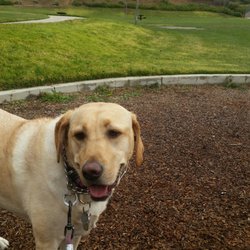 Deerhill Park - Walking at deerhill park