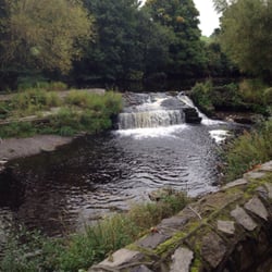 Lower River Trail - Nature!