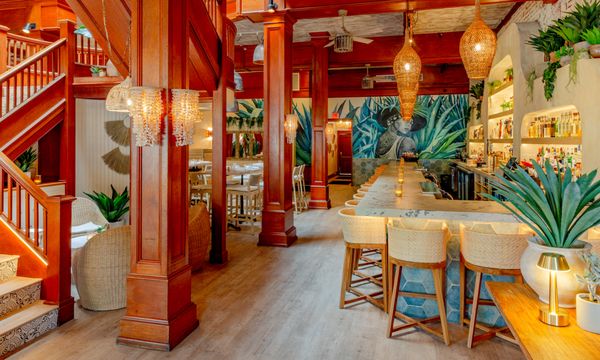Anejo Mexican Bistro by null