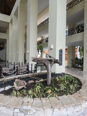 Occidental at Xcaret Destination by null